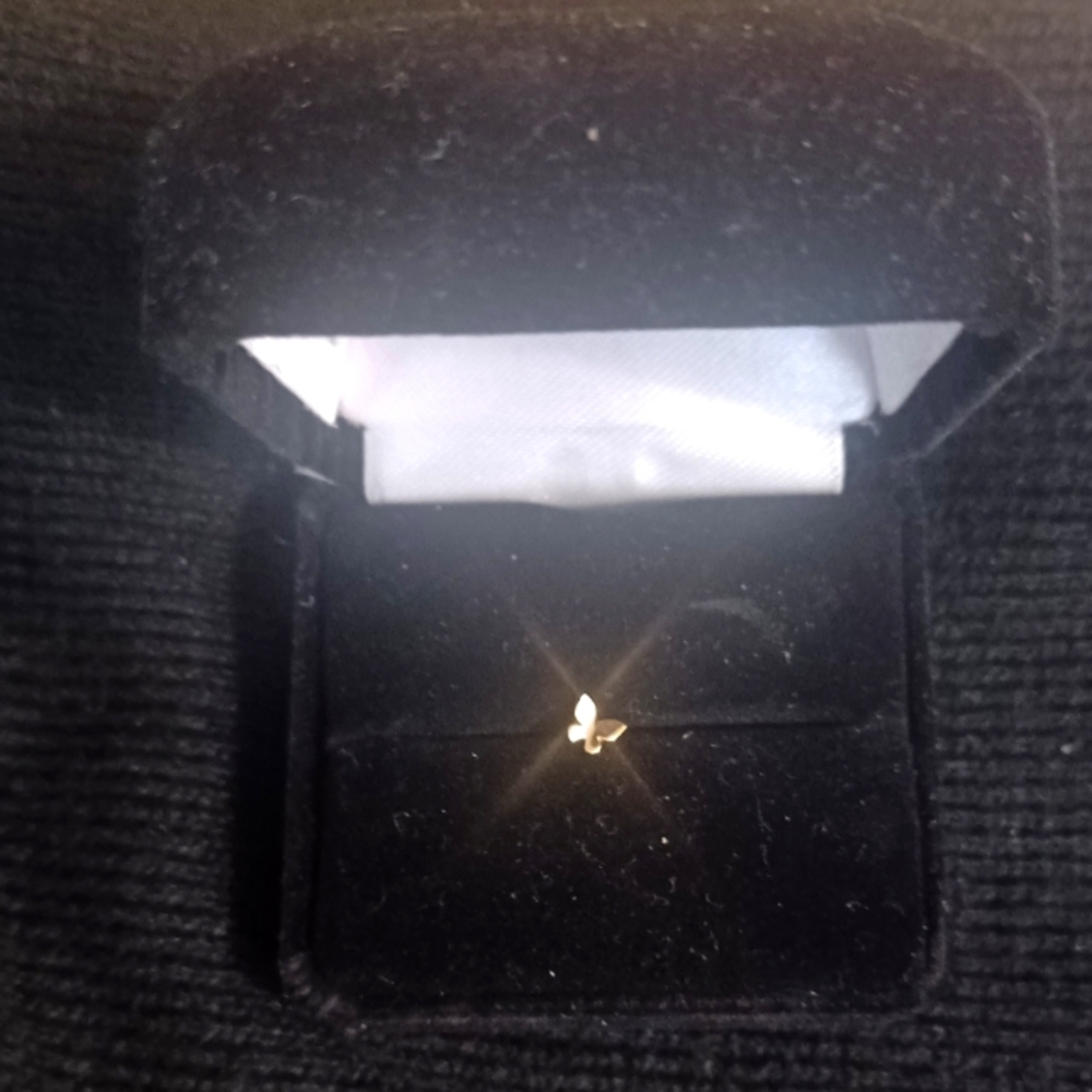 Elegant Gold Butterfly Single Stud Earring